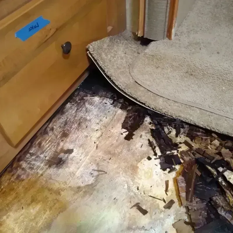 Best Wood Floor Water Damage Service in Lake Stevens, WA